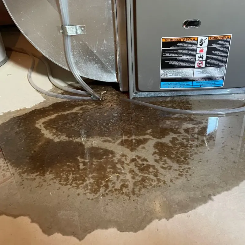 Pipe Burst and Leak Restoration in Marin City, CA